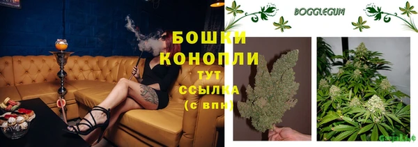 молекула духа Майский